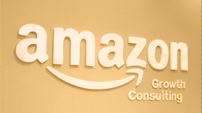 Amazon growth Consultancy
